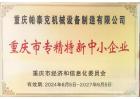 Chongqing's Specialty Innovators